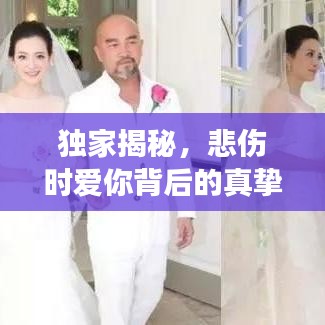 獨家揭秘，悲傷時愛你背后的真摯情感故事