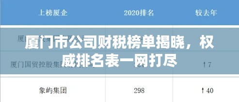 廈門市公司財(cái)稅榜單揭曉，權(quán)威排名表一網(wǎng)打盡