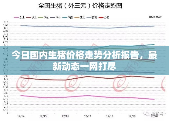 今日國內(nèi)生豬價(jià)格走勢(shì)分析報(bào)告，最新動(dòng)態(tài)一網(wǎng)打盡