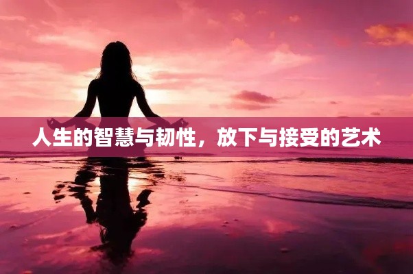 人生的智慧與韌性，放下與接受的藝術