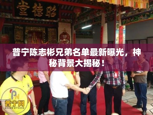 普寧陳志彬兄弟名單最新曝光，神秘背景大揭秘！