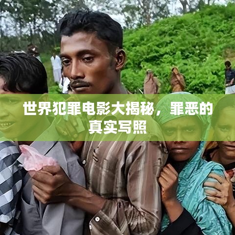 世界犯罪電影大揭秘，罪惡的真實(shí)寫(xiě)照