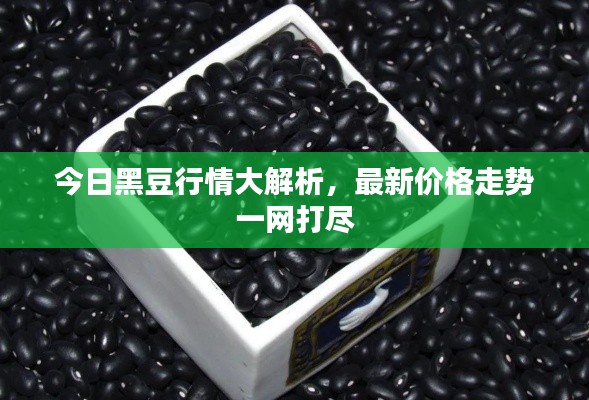 尊道貴德 第2頁