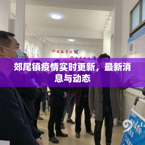郊尾鎮(zhèn)疫情實時更新，最新消息與動態(tài)