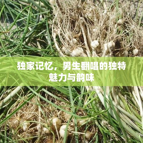 獨(dú)家記憶，男生翻唱的獨(dú)特魅力與韻味