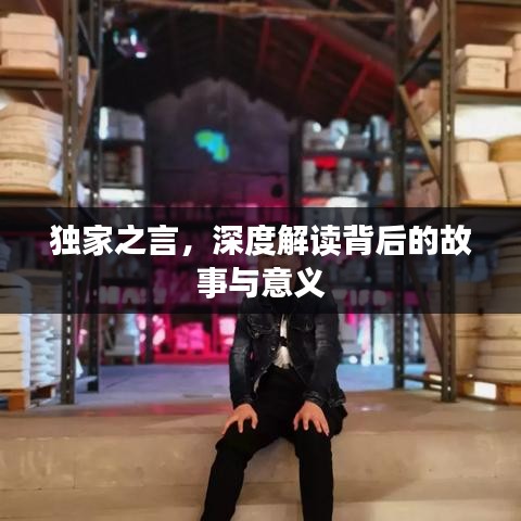 獨(dú)家之言，深度解讀背后的故事與意義