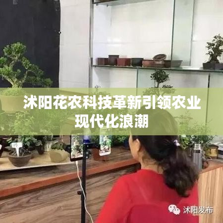 沭陽花農(nóng)科技革新引領農(nóng)業(yè)現(xiàn)代化浪潮