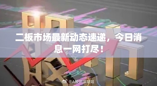 二板市場最新動態(tài)速遞，今日消息一網(wǎng)打盡！
