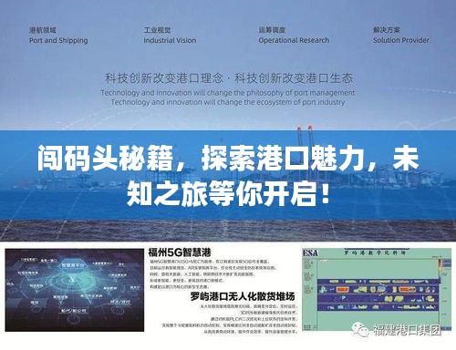 闖碼頭秘籍，探索港口魅力，未知之旅等你開(kāi)啟！