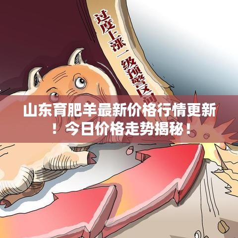 山東育肥羊最新價格行情更新！今日價格走勢揭秘！