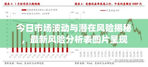 今日市場波動與潛在風險揭秘，最新風險分析表圖片呈現(xiàn)