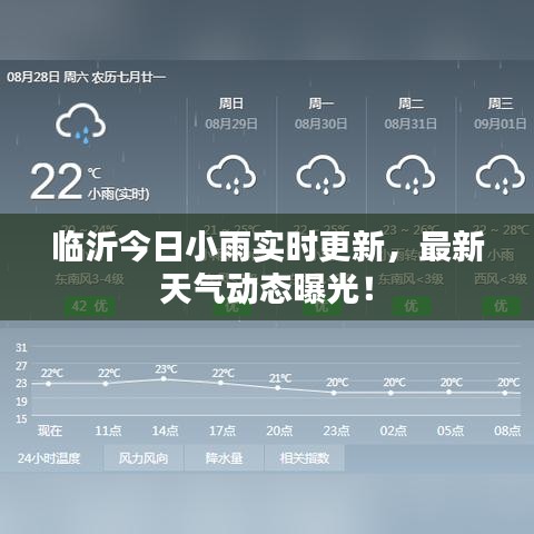 臨沂今日小雨實(shí)時(shí)更新，最新天氣動(dòng)態(tài)曝光！