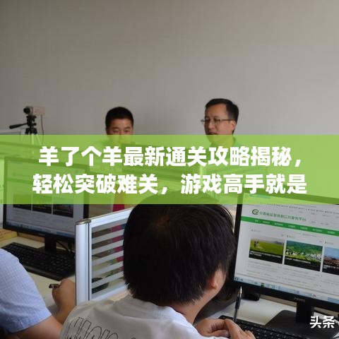 羊了個(gè)羊最新通關(guān)攻略揭秘，輕松突破難關(guān)，游戲高手就是你！