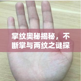 掌紋奧秘揭秘，不斷掌與兩紋之謎探秘