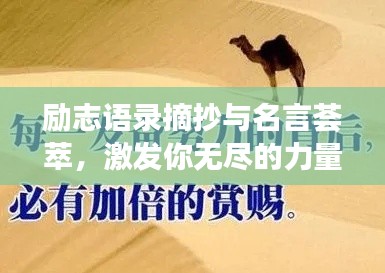勵志語錄摘抄與名言薈萃，激發(fā)你無盡的力量源泉