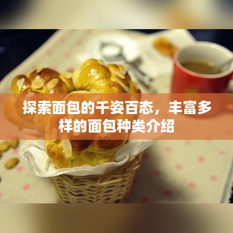 探索面包的千姿百態(tài)，豐富多樣的面包種類介紹