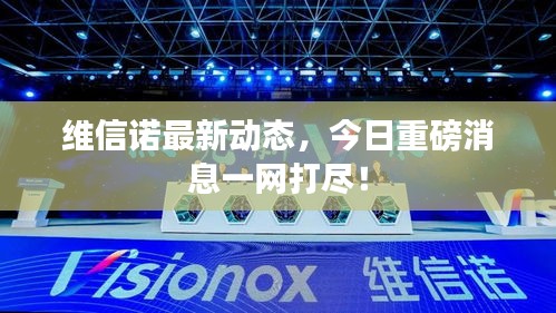 維信諾最新動(dòng)態(tài)，今日重磅消息一網(wǎng)打盡！