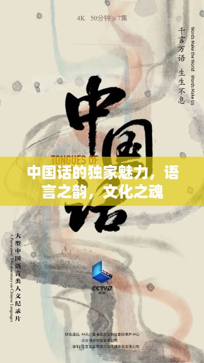 中國話的獨(dú)家魅力，語言之韻，文化之魂