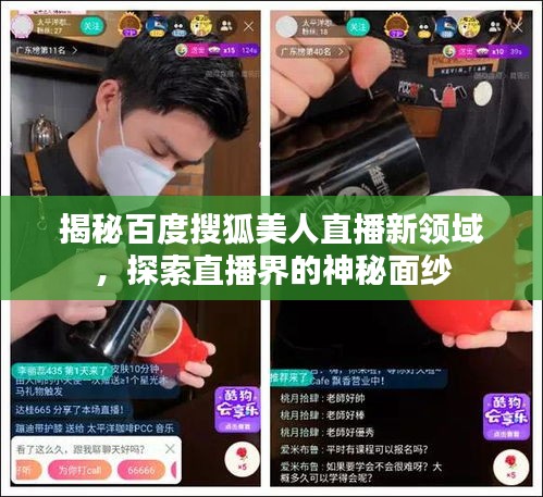 揭秘百度搜狐美人直播新領域，探索直播界的神秘面紗