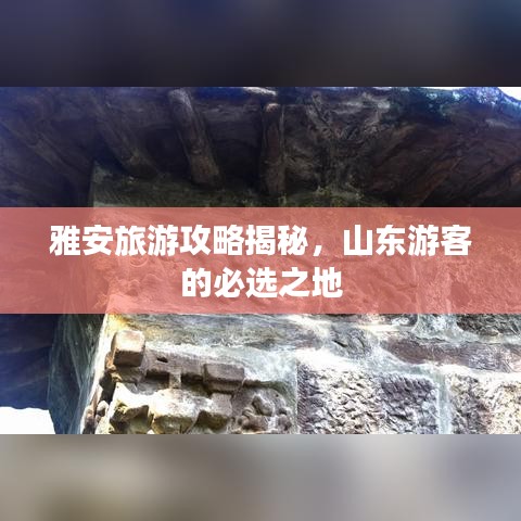 雅安旅游攻略揭秘，山東游客的必選之地