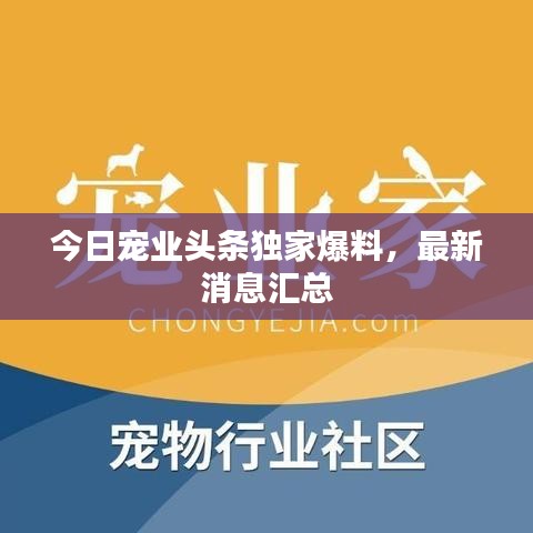 今日寵業(yè)頭條獨(dú)家爆料，最新消息匯總