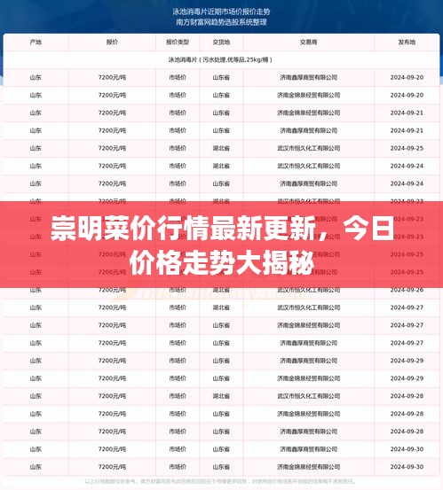 崇明菜價(jià)行情最新更新，今日價(jià)格走勢(shì)大揭秘