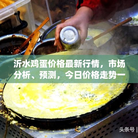 沂水雞蛋價格最新行情，市場分析、預測，今日價格走勢一網(wǎng)打盡！
