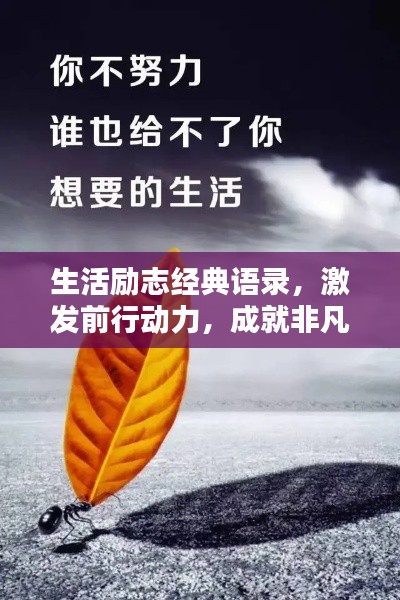 生活勵志經典語錄，激發(fā)前行動力，成就非凡人生