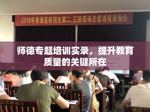 師德專題培訓(xùn)實錄，提升教育質(zhì)量的關(guān)鍵所在