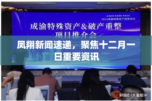 鳳翔新聞速遞，聚焦十二月一日重要資訊