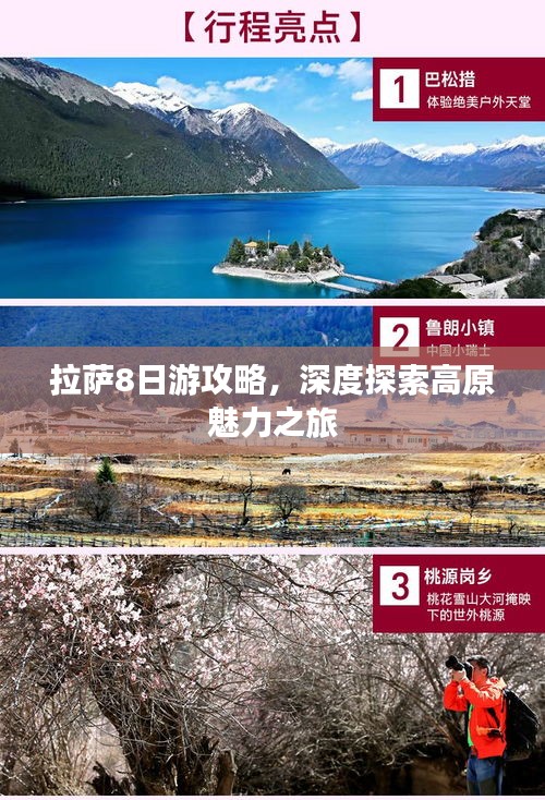 拉薩8日游攻略，深度探索高原魅力之旅