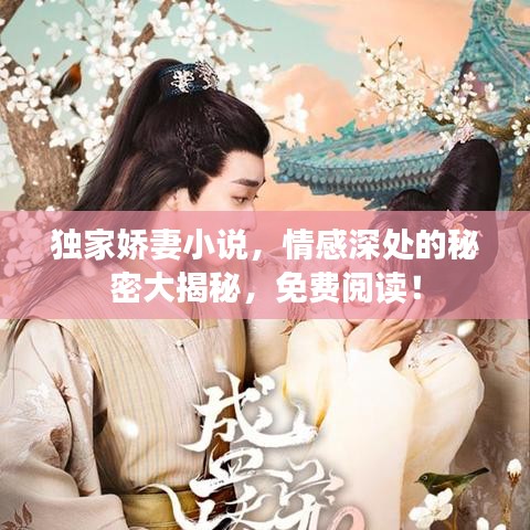 獨(dú)家嬌妻小說(shuō)，情感深處的秘密大揭秘，免費(fèi)閱讀！