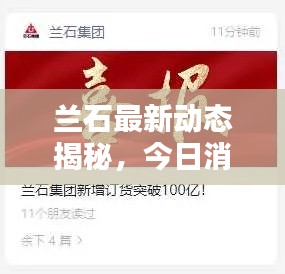 蘭石最新動態(tài)揭秘，今日消息一網(wǎng)打盡！