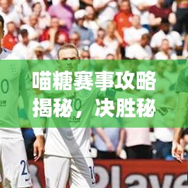 喵糖賽事攻略揭秘，決勝秘訣助你輕松奪冠！