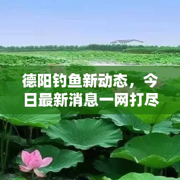 德陽(yáng)釣魚(yú)新動(dòng)態(tài)，今日最新消息一網(wǎng)打盡！