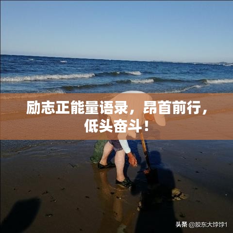 勵志正能量語錄，昂首前行，低頭奮斗！