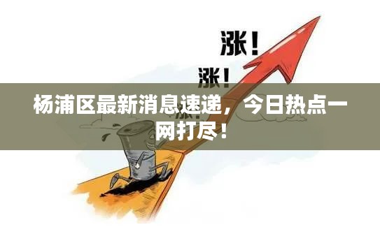 楊浦區(qū)最新消息速遞，今日熱點(diǎn)一網(wǎng)打盡！