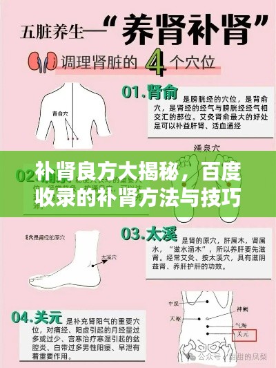 補(bǔ)腎良方大揭秘，百度收錄的補(bǔ)腎方法與技巧