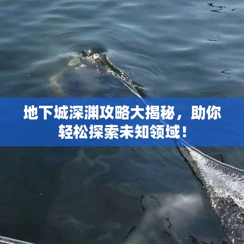地下城深淵攻略大揭秘，助你輕松探索未知領(lǐng)域！