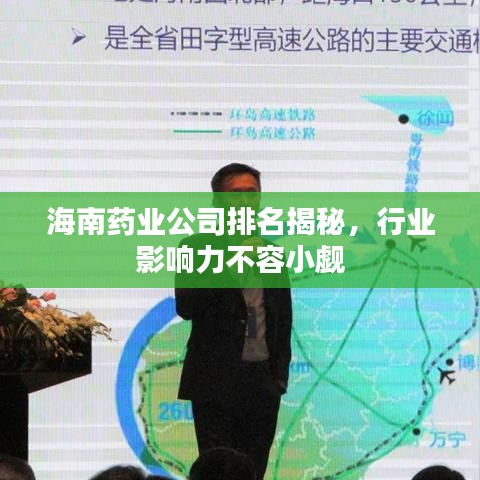海南藥業(yè)公司排名揭秘，行業(yè)影響力不容小覷
