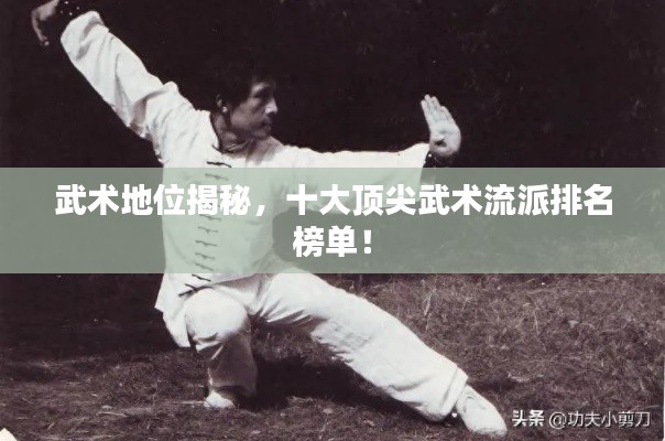 武術(shù)地位揭秘，十大頂尖武術(shù)流派排名榜單！