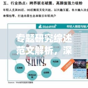 專題研究綜述范文解析，深度洞察，引領(lǐng)學(xué)術(shù)潮流