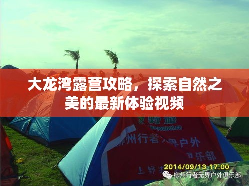 大龍灣露營攻略，探索自然之美的最新體驗(yàn)視頻
