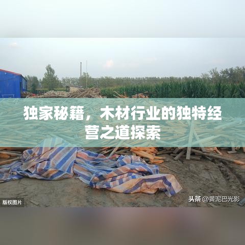 獨(dú)家秘籍，木材行業(yè)的獨(dú)特經(jīng)營之道探索