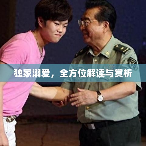 獨家溺愛，全方位解讀與賞析