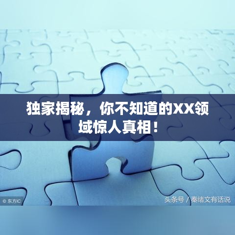 獨家揭秘，你不知道的XX領域驚人真相！