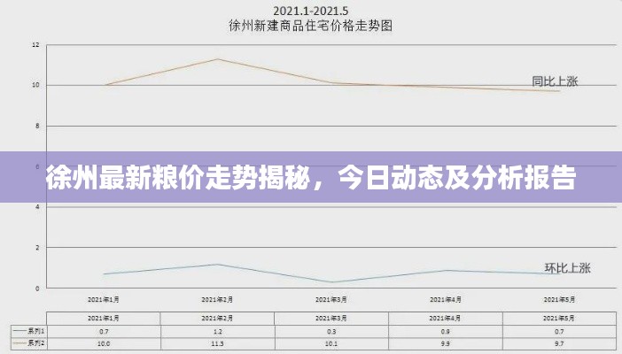徐州最新糧價走勢揭秘，今日動態(tài)及分析報告