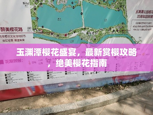 玉淵潭櫻花盛宴，最新賞櫻攻略，絕美櫻花指南
