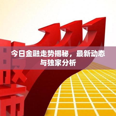 今日金融走勢揭秘，最新動態(tài)與獨(dú)家分析