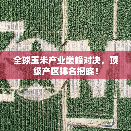 全球玉米產(chǎn)業(yè)巔峰對(duì)決，頂級(jí)產(chǎn)區(qū)排名揭曉！